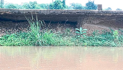 पांढरी : सीतेपार-किसनपूर मार्गावरील धोकादायक पूल. 