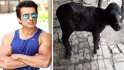 sonu sood 