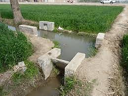 irrigation