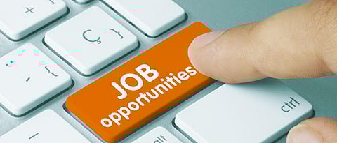 job opportunities in akola.jpg