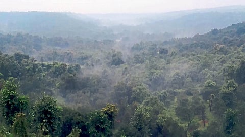 winter season Dapoli drops to 11.09 degrees Celsius Ratnagiri drops to 17 degrees