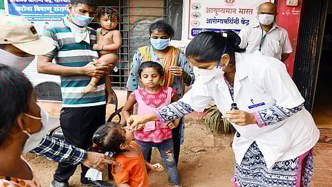 21 including 7 children injured honey bee attacked in sindhudurg district