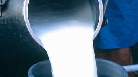 milk