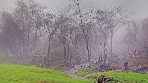 मॉन्सून ट्रिप करताय? थांबा...