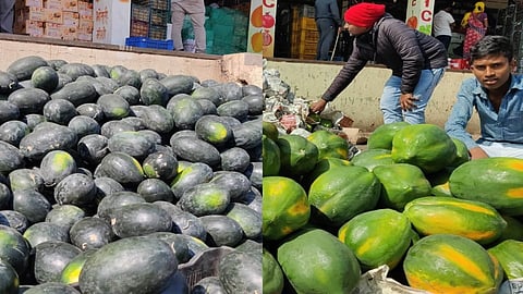 मोशी मंडईत आज कलिंगड, पपई, पालेभाज्यांची मोठी आवक 