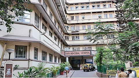 mumbai NSCI dom
