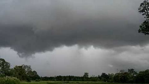 rain atmosphere in konkan sindhudurg dangerous to crop in sindhudurg