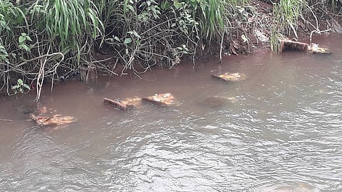 श्रीवर्धन : किनाऱ्यावर आलेल्या आणि पाण्यावर तरंग असलेल्‍या गणेशमूर्ती.