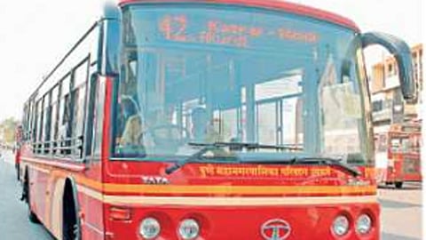 PMP bus auction from tomorrow
