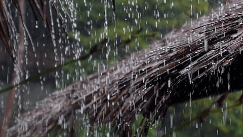 Monsoon rainfall hits Kerala right on time