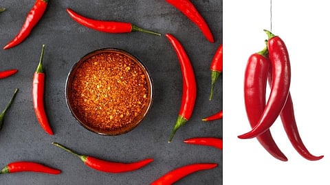 red chilli powder rate increased for this year in chiplun ratnagiri