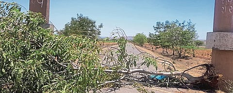 The Sangli-Satara inter-district border has been sealed