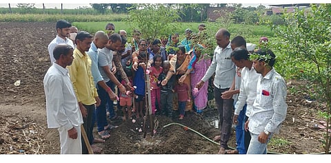 नदीत अस्थी विसर्जन टाळून वृक्षारोपणाचा निर्णय; आळंदी म्हातोबा ग्रामस्थांचे होतेय कौतुक 