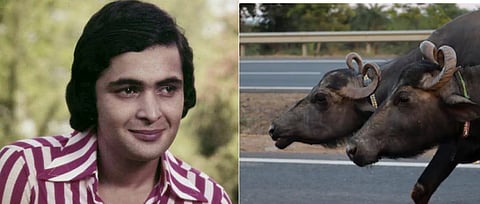 Memories of the Kapoor family in Kolhapur were revived