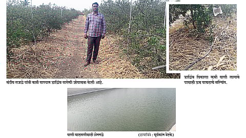 Quality production in drought areas