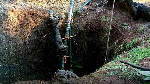 The leopard fell into the well in sindudurg kokan marathi news