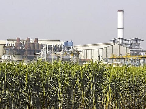 sugar-factory