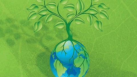 Soil testing is essential for good soil health