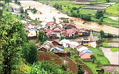  Akola Washim News Wildlife has led farmers to commit suicide, with very little compensation; Villages adjacent to the forest are covered with dew