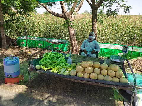 Admirable: akola farmer earned Rs 3.5 lakh without getting stuck in lockdown