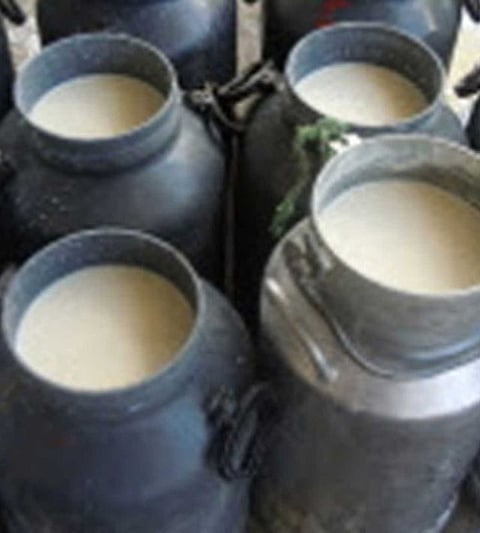 milk