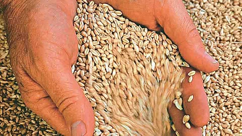 संग्रहित छायाचित्र