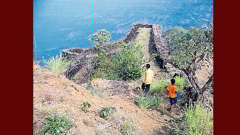 Proposal of Conservation Of Mahipatgad Ratnagiri Marathi News