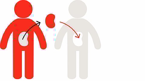 लॉकडाऊन काळात अवयवदानाला ब्रेक! 70% घट झाल्याची 'झेडटीसीसी'ची माहिती 