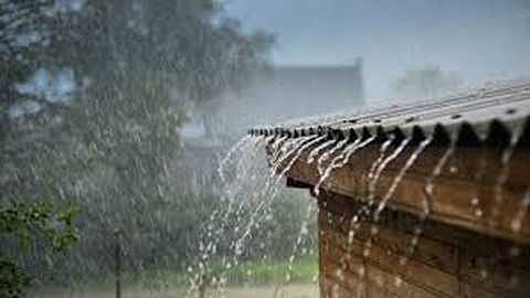 rain