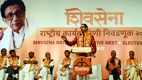 स्वबळाची डरकाळी