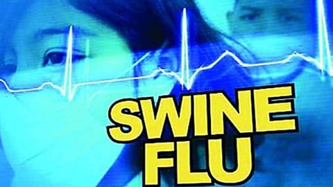 swine flu