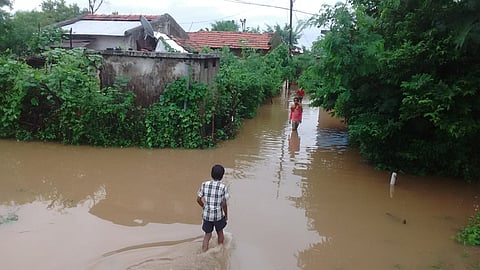 छायाचित्र