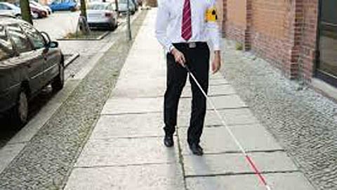 Blind wants PMP pass