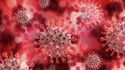 Coronavirus-_Covid-19.jpg