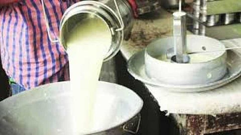 Read the story reviewing the problems of milk farmers