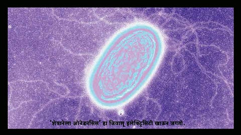 Pradeepkumar writes about science Editorial 