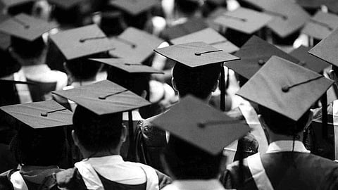 higher education 