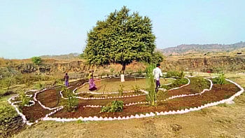 पर्यावरण समृध्दीचा निर्धार...ग्रामस्थांनी गावात साकारला जैवविविधता रक्षणाचा प्रकल्प !