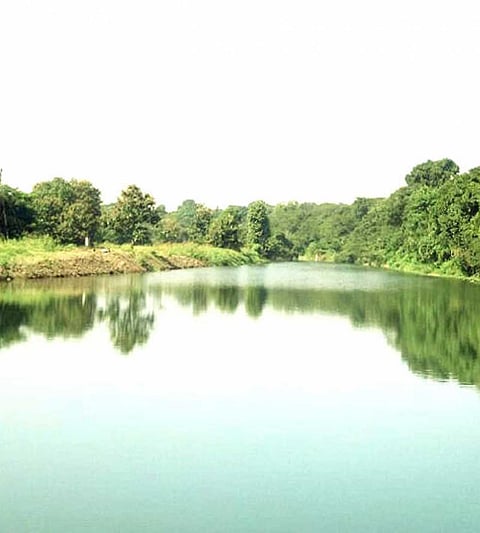 The process of water use organization at Umarga is still on paper