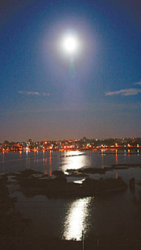 KOJAGAREE
