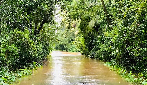 heavy rain in vengurla sindhudurg district