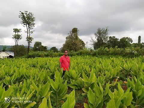 Low cost farming in Bhirwande