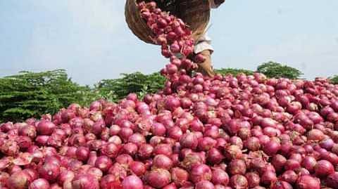 turnover of crores is stopped due to onion auction banned nashik news