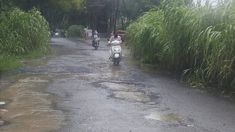 नसरापूर ते चेलाडी रस्त्यावर अनेक ठिकाणी खड्डे पडले असुन रस्त्यालगत गवत वाढले आहे यामधुन वाहनचालकांना कसरत करत प्रवास करावा लागत आहे.