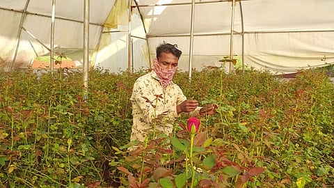 शिकारी ते फूल निर्यातदार; मावळातील आदिवासी तरुणाचा प्रेरणादायी प्रवास