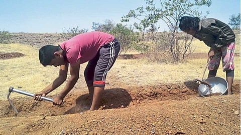 गोंदवले खुर्द (ता. माण) - जानाई तलावालगच्या माळरानावर रोहित व रक्षिता ही भावंडे दुष्काळ निर्मूलनासाठी कोणाच्याही मदतीशिवाय गेला महिनाभर श्रमदान करत आहेत.