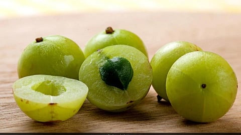 जाणून घ्या; मधुमेहाच्या रुग्णांसाठी सहा आयुर्वेदिक उपचार