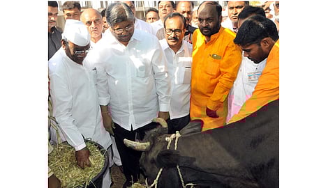 मागेल त्याला टँकर, मागेल त्याला चारा छावणी : चंद्रकांत पाटील