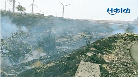 Satara Latest Marathi News Satara News