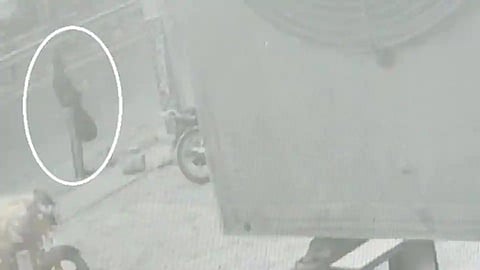 UP Gangster, Vikas Dubey   